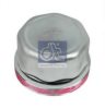 DT 10.10602 Cap, wheel bearing